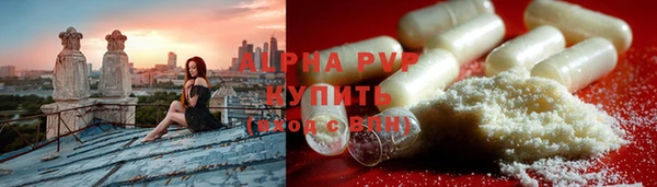 гидра Богданович