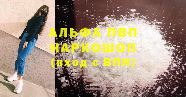 гидра Богданович