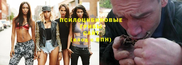 ГАЛЛЮЦИНОГЕННЫЕ ГРИБЫ Богородск
