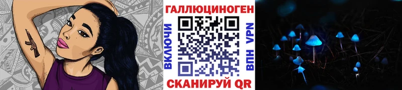 Галлюциногенные грибы Psilocybine cubensis  цены наркотик  Княгинино 